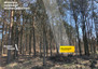 Morizon WP ogłoszenia | Działka na sprzedaż, Leszno, 3600 m² | 1770