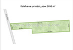 Morizon WP ogłoszenia | Działka na sprzedaż, Chojnów Graniczka, 5850 m² | 3839