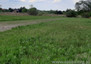Morizon WP ogłoszenia | Działka na sprzedaż, Jazgarzew, 8600 m² | 9010