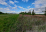 Morizon WP ogłoszenia | Działka na sprzedaż, Jazgarzew, 8600 m² | 9010
