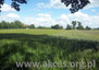 Morizon WP ogłoszenia | Działka na sprzedaż, Aleksandrowo, 9966 m² | 8447