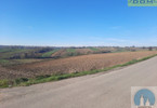 Morizon WP ogłoszenia | Działka na sprzedaż, Kocmyrzów-Luborzyca, 4000 m² | 9536