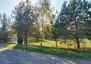 Morizon WP ogłoszenia | Działka na sprzedaż, Izabela, 1509 m² | 4501