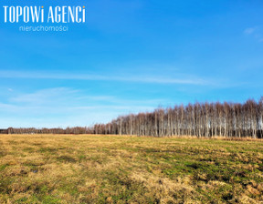 Działka na sprzedaż, Książenice Mazowiecka, 21623 m²