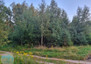 Morizon WP ogłoszenia | Działka na sprzedaż, Kąty Węgierskie, 2800 m² | 9530