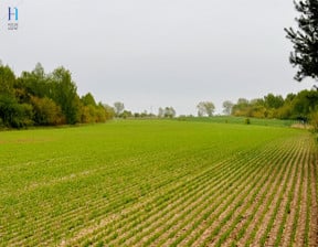 Działka na sprzedaż, Tuszyn Niedas Trzciniec, 9297 m²