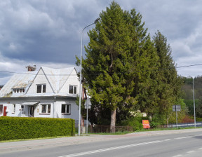 Dom na sprzedaż, Hoczew, 235 m²