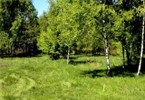 Morizon WP ogłoszenia | Działka na sprzedaż, Nadarzyn, 1000 m² | 5299