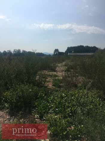 Morizon WP ogłoszenia | Działka na sprzedaż, Drogomyśl, 11500 m² | 5834