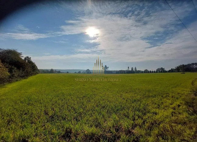 Morizon WP ogłoszenia | Działka na sprzedaż, Gościeradz, 3000 m² | 2373