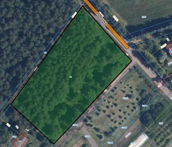 Morizon WP ogłoszenia | Działka na sprzedaż, Cieciszew, 4900 m² | 6423