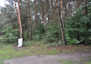 Morizon WP ogłoszenia | Działka na sprzedaż, Cieciszew, 4900 m² | 6423