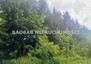 Morizon WP ogłoszenia | Działka na sprzedaż, Łoś Sołecka, 6800 m² | 8345