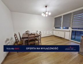 Mieszkanie do wynajęcia, Bielsko-Biała Złote Łany, 45 m²