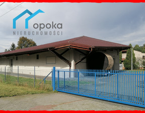 Lokal użytkowy do wynajęcia, Cieszyn Frysztacka, 850 m²