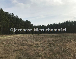 Morizon WP ogłoszenia | Działka na sprzedaż, Czarże, 10251 m² | 3208