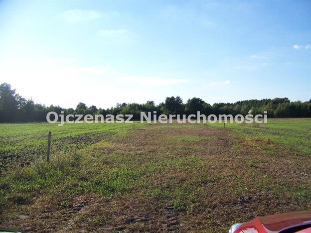 Morizon WP ogłoszenia | Działka na sprzedaż, Dziemionna, 50000 m² | 2700