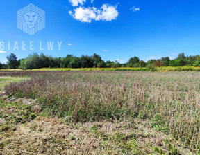 Działka na sprzedaż, Stare Babice Izabelińska, 800 m²