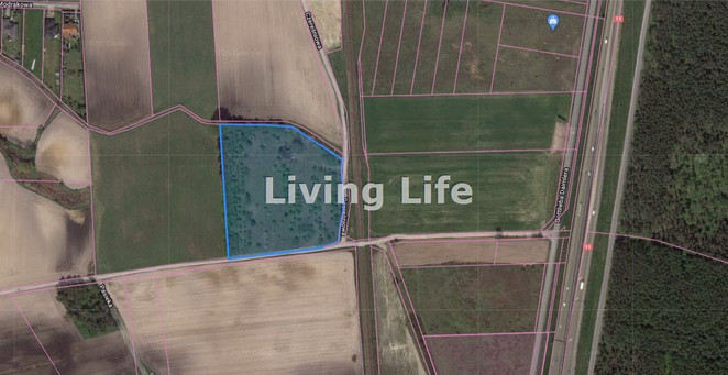 Morizon WP ogłoszenia | Działka na sprzedaż, Golęczewo, 20401 m² | 2965