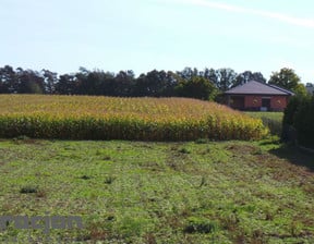 Działka na sprzedaż, Dąbrówka Leśna Dąbrówka Leśna, 1610 m²