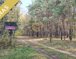 Morizon WP ogłoszenia | Działka na sprzedaż, Wólka Jaśminowa, 3000 m² | 2787