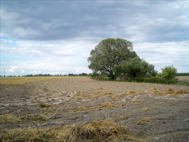 Morizon WP ogłoszenia | Działka na sprzedaż, Szewce, 1402 m² | 6441