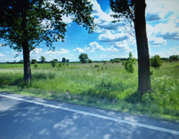 Morizon WP ogłoszenia | Działka na sprzedaż, Pobiedziska, 23100 m² | 4627