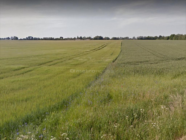 Morizon WP ogłoszenia | Działka na sprzedaż, Rokietnica, 11796 m² | 6687