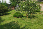 Morizon WP ogłoszenia | Działka na sprzedaż, Szklary, 550 m² | 6599