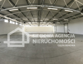 Magazyn do wynajęcia, Gdańsk Letnica, 520 m²