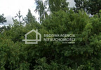 Działka na sprzedaż, Borkowo, 16855 m² | Morizon.pl | 0619 nr6