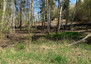 Morizon WP ogłoszenia | Działka na sprzedaż, Skolimów, 5887 m² | 1668