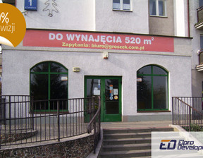 Lokal użytkowy na sprzedaż, Nowe Miasto Lubawskie Tysiąclecia, 520 m²