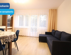 Mieszkanie do wynajęcia, Bydgoszcz, 46 m²