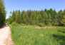 Morizon WP ogłoszenia | Działka na sprzedaż, Przyjaźń, 14260 m² | 8724