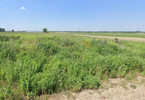 Morizon WP ogłoszenia | Działka na sprzedaż, Michałowice, 13000 m² | 0266