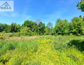 Działka na sprzedaż, Jedlina-Zdrój, 3137 m²