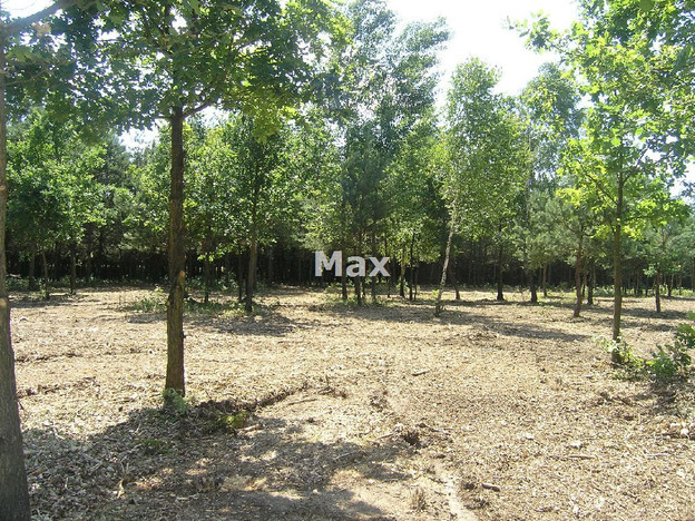 Morizon WP ogłoszenia | Działka na sprzedaż, Serock, 1500 m² | 8190