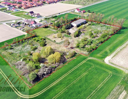 Morizon WP ogłoszenia | Działka na sprzedaż, Lusówko, 25327 m² | 1041
