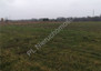 Morizon WP ogłoszenia | Działka na sprzedaż, Urzut, 1500 m² | 3630