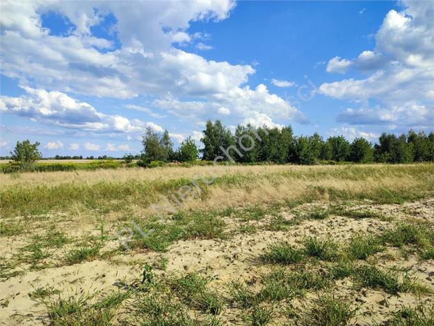 Morizon WP ogłoszenia | Działka na sprzedaż, Milęcin, 3186 m² | 6347