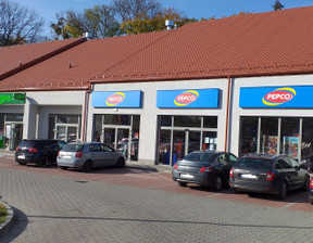 Lokal użytkowy na sprzedaż, Przemków Szprotawska, 1078 m²