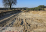 Morizon WP ogłoszenia | Działka na sprzedaż, Czernikowo, 3000 m² | 6611