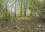 Morizon WP ogłoszenia | Działka na sprzedaż, Potryty, 1631 m² | 8214