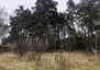 Morizon WP ogłoszenia | Działka na sprzedaż, Klęk, 2218 m² | 7319