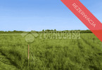 Morizon WP ogłoszenia | Działka na sprzedaż, Czernichów, 7300 m² | 3767