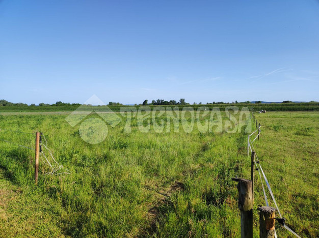 Morizon WP ogłoszenia | Działka na sprzedaż, Czernichów, 7300 m² | 3767