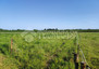 Morizon WP ogłoszenia | Działka na sprzedaż, Czernichów, 7300 m² | 3767