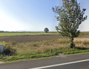 Działka na sprzedaż, Łagów, 5653 m²