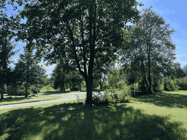 Morizon WP ogłoszenia | Działka na sprzedaż, Promno, 16800 m² | 3284